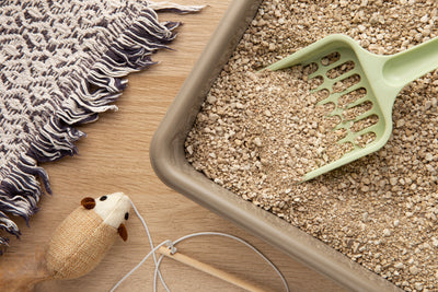 Caixa de areia para gatos