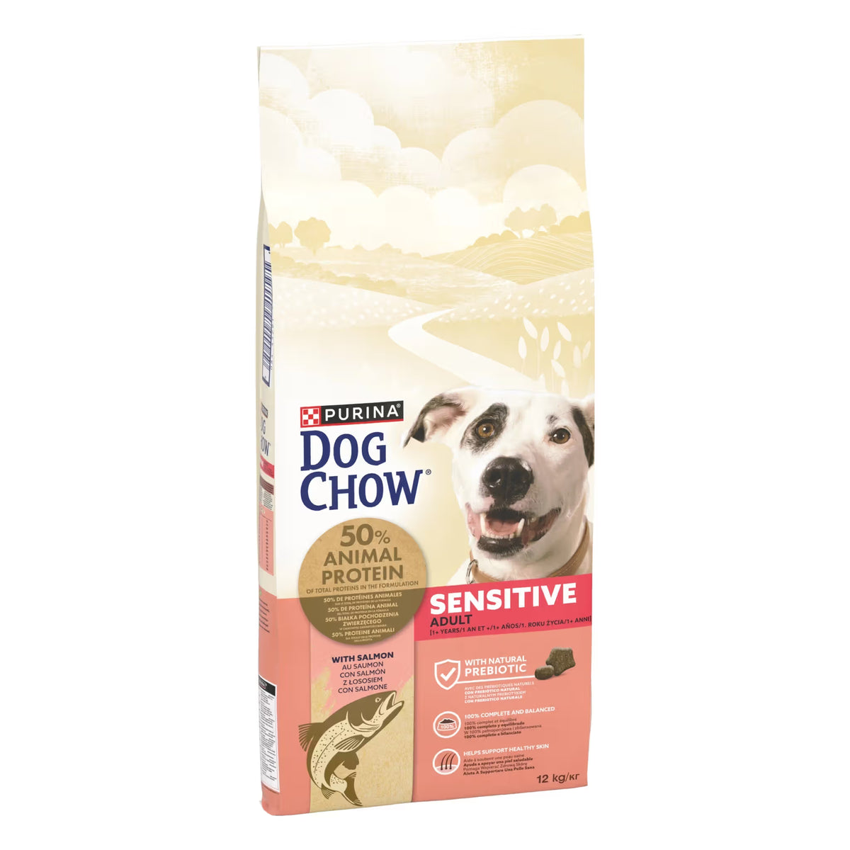 Dog Chow Sensitive Adult Dog Salmon - Dry food for dogs with digestive and skin sensitivity