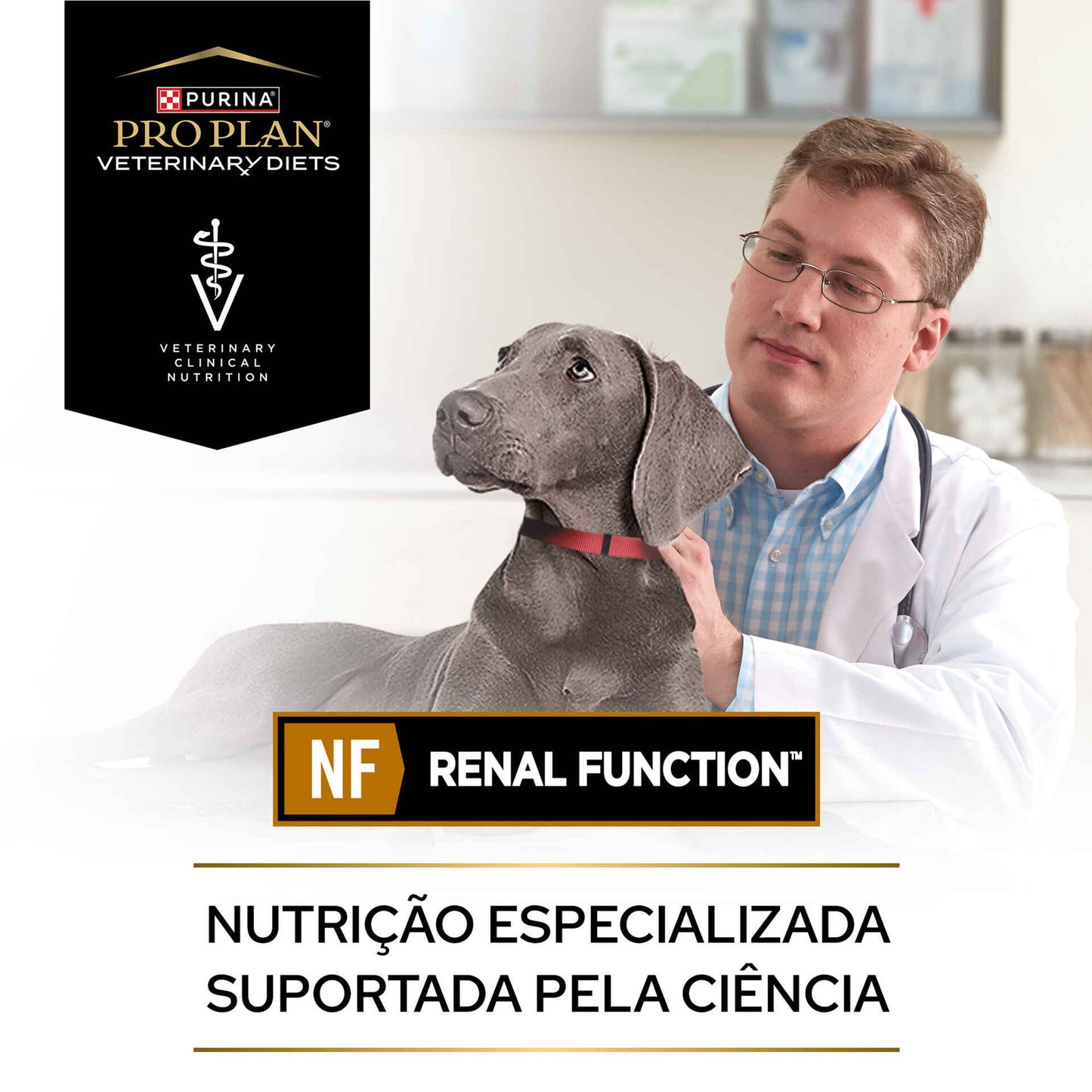 Alimento Veterinário Húmido para Cão PPVD Canine NF - Renal Function | Wet (Lata) | 12 x 400 g