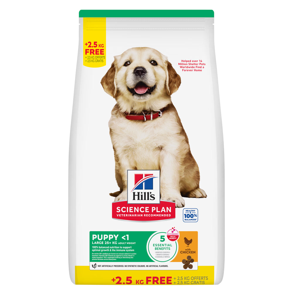 Hills Science Plan Cão Cachorro Raças Grandes Frango - Ração seca para cão