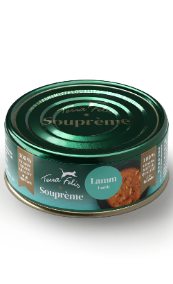 Alimento Húmido para Gatos Terra Felis Soupreme | Lamb | 70 g