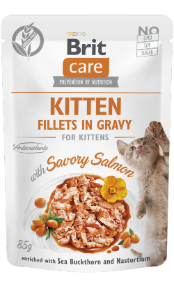 Alimento húmido para Gatos Brit Care Cat Kitten Fillets in Gravy with Savory Salmon | Wet (Saqueta) | 12 x 85 g