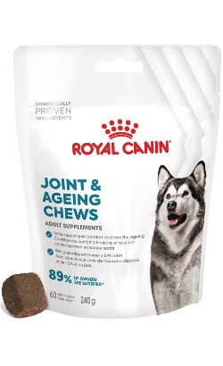 Biscoitos para cão Royal Canin Dog Joint & Ageing Chews Adult Supplements | 240 g