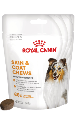 Biscoitos para cão Royal Canin Dog Skin & Coat Chews Adult Supplements | 240 g