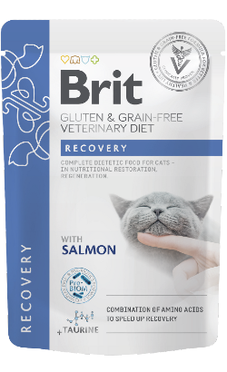 Alimento húmido Veterinário para Gatos Brit Gluten & Grain-Free Veterinary Diet Cat Recovery Salmon in Gravy | Wet (Saqueta) | 12 x 85 g