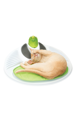 Catit Senses 2.0 Wellness Center | 1 Unidade