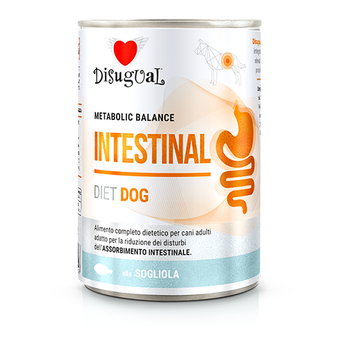 Disugual Diet Intestinal Cão - Ração húmida para cão com problemas intestinais