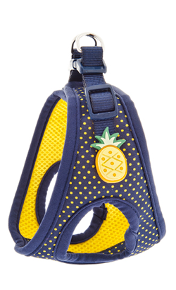 Ferribiella Peitoral Pois Pineapple para cão | M