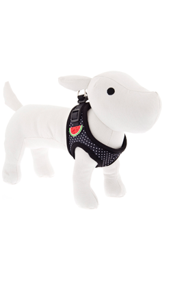 Ferribiella Peitoral Pois Watermelon para cão | S