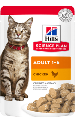 Ração húmida para Gatos Hills Science Plan Adult Cat with Chicken | Wet (Saqueta) | Cx c/ 12 saquetas 85g