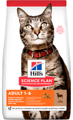 Ração para Gatos Hills Science Plan Adult Cat with Lamb | 10 kg