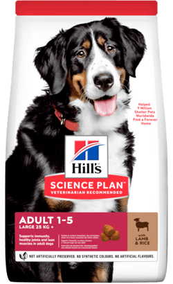 Ração para Cão Hills Science Plan Dog Adult Large Breed with Lamb & Rice | 14 kg