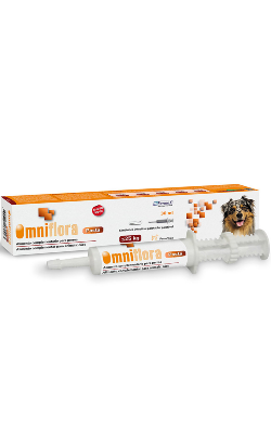 Omniflora Pasta | Raças Médias para cão | 30 ml