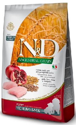 Ração para cão N&D Ancestral Grain Dog Chicken & Pomegranate Medium Maxi Puppy | 12 kg