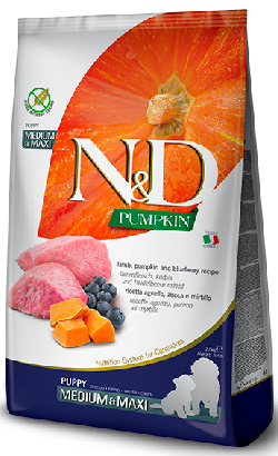 Ração para cão N&D Pumpkin Dog Lamb, Pumpkin & Blueberry Medium Maxi Puppy | 12 kg
