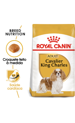 Ração para Cão Royal Canin Dog Cavalier King Charles Adult | 3 Kg
