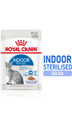 Ração húmida para Gatos Royal Canin Cat Indoor in Jelly | Wet (Saqueta) | 12 x 85 g