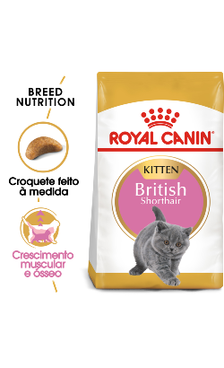 Ração para Gatos Royal Canin Cat Kitten British Shorthair | 2 kg