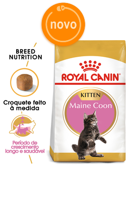 Ração para Gatos Royal Canin Cat Kitten Maine Coon | 4 Kg