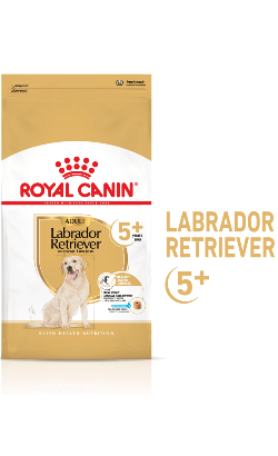 Ração para Cão Royal Canin Dog Labrador Ageing 5+ | 12 Kg
