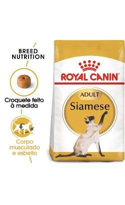 Ração para Gatos Royal Canin Cat Siamese Adult | 2 Kg