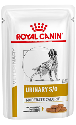 Ração Veterinária húmida para Cão Royal Canin Vet Urinary S/O Moderate Calorie Canine | Wet (Saqueta) | 12 x 100 g