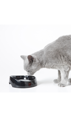 Bebedouro Whisker Water Savic | Preto