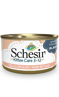 Ração húmida para Gatos Schesir Cat Kitten Filete de Frango com Aloe em Gelatina | Wet (Lata) | 14 x 85 g