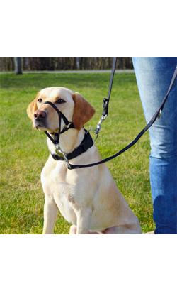 Açaime para cão Trixie Top Trainer Training Harness | L
