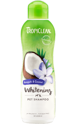 Tropiclean Awapuhi & Coconut Shampoo | 355 ml