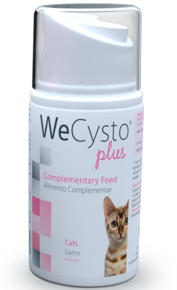 WeCysto Plus Gel para Gato | 50 ml
