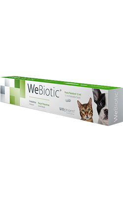 Webiotic FAST | Raças Pequenas e Gatos | 15 ml