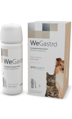 WeGastro | 60 ml
