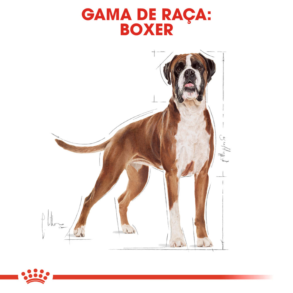 Royal Canin Boxer Adulto Perro Aves - Pienso seco para perro