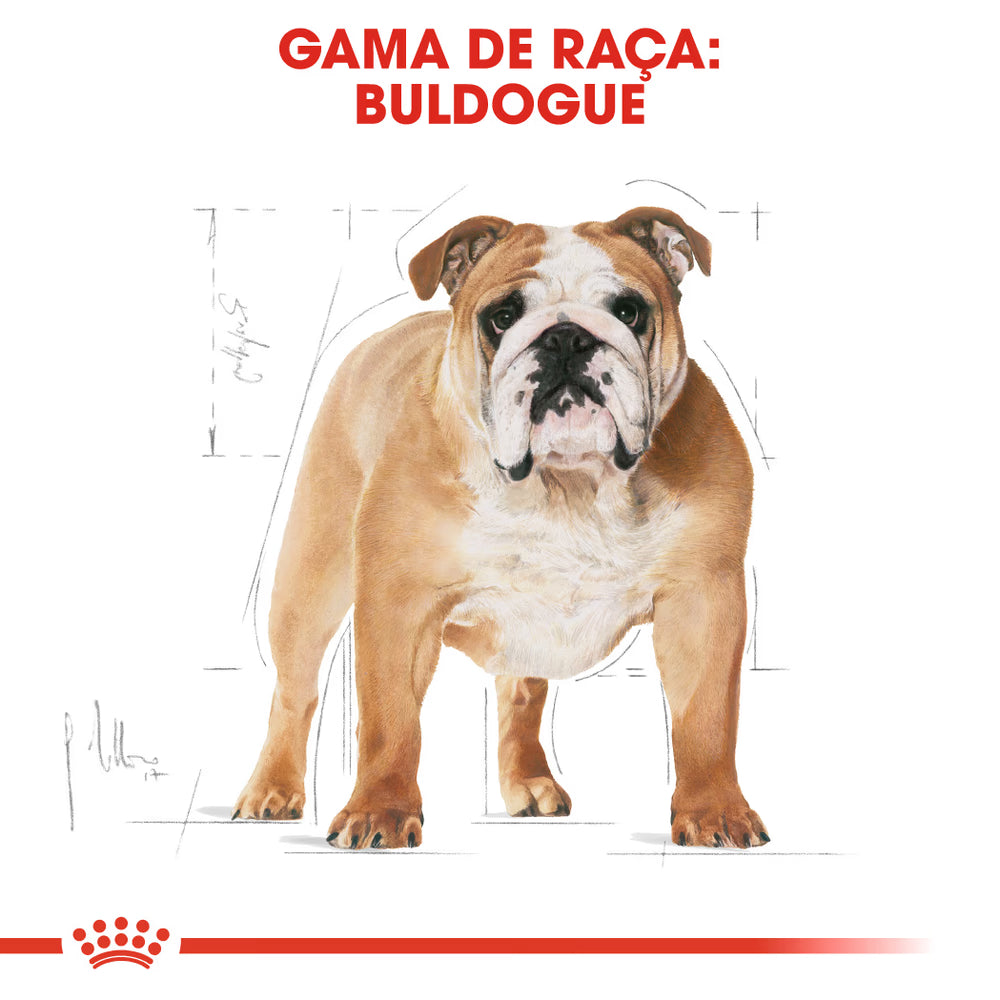 Royal Canin Bulldog Adult Dog Poultry - Dry food for dogs