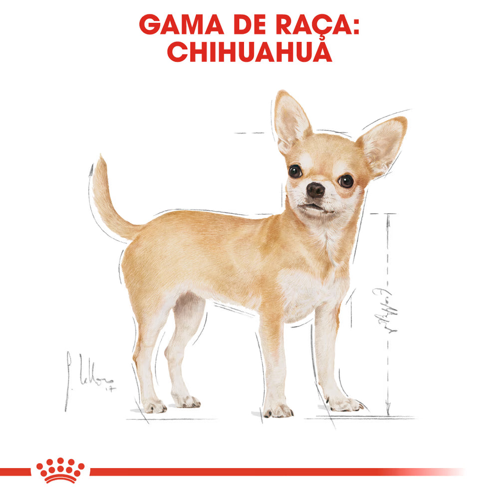 Royal Canin Cão Chihuahua Adulto Aves - Ração seca para cão