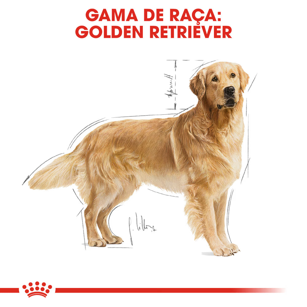 Royal Canin Perro Golden Retriever Adulto Aves - Pienso seco para perro