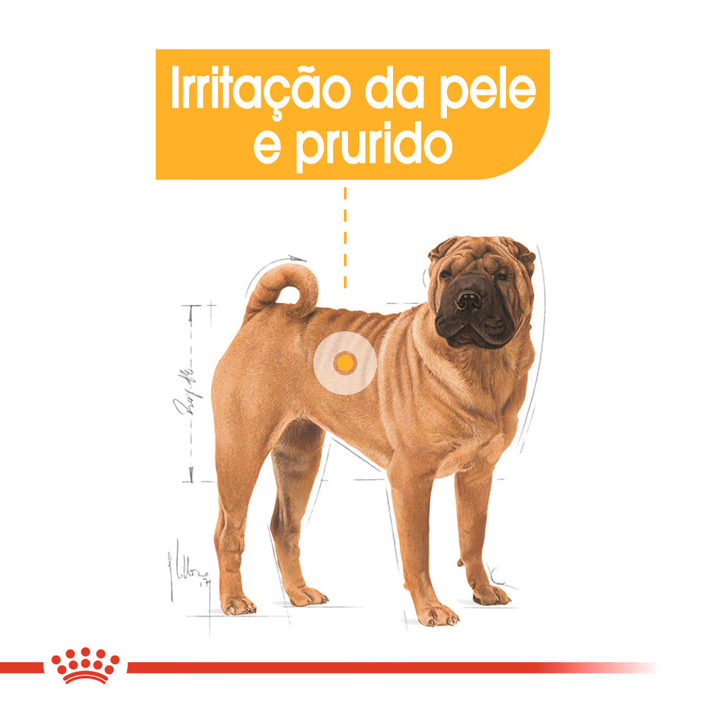 Royal Canin Perro Medium Dermacomfort - Pienso seco para perro con piel sensible