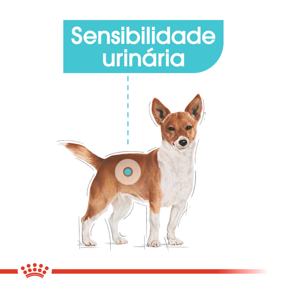 Royal Canin Perro Mini Urinary Care Aves - Pienso seco para perro para la salud urinaria