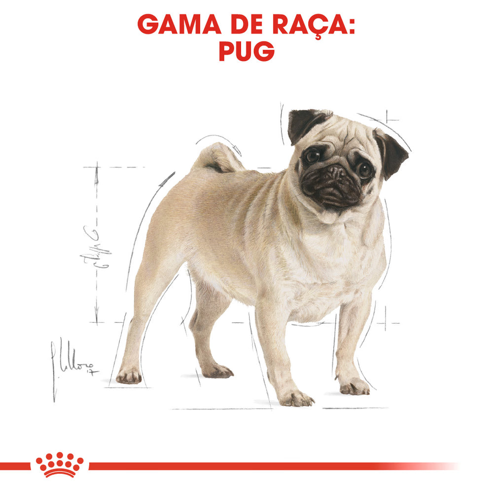 Royal Canin Perro Pug Adulto Aves - Pienso seco para perro