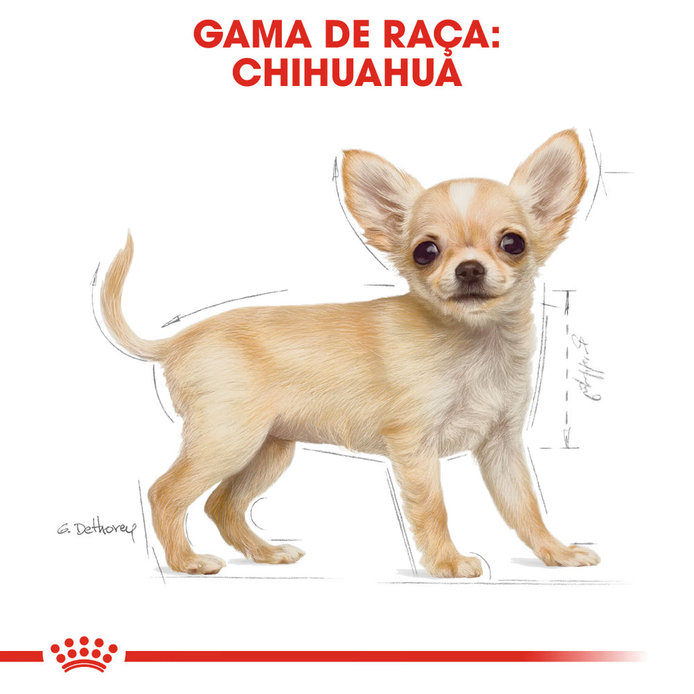 Royal Canin Chihuahua Cachorro Perro Aves - Pienso seco para perro