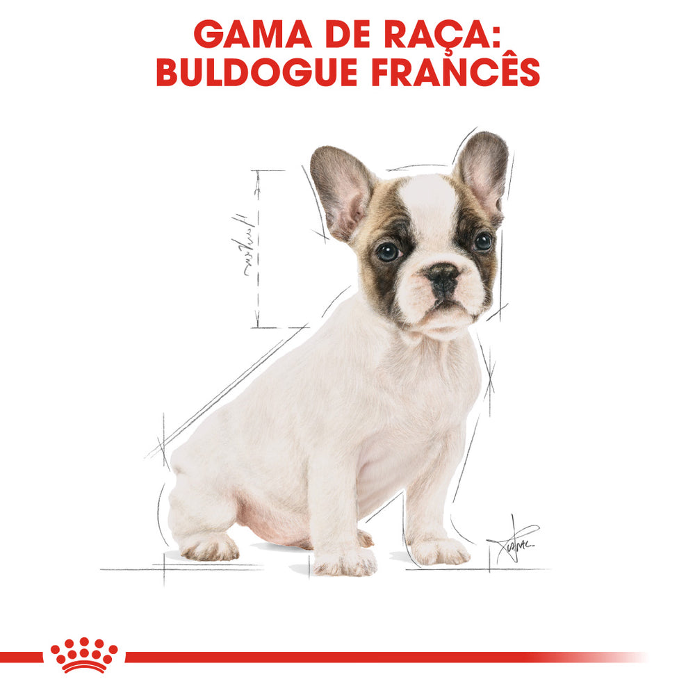 Royal Canin French Bulldog Puppy Dog Poultry - Dry food for dogs
