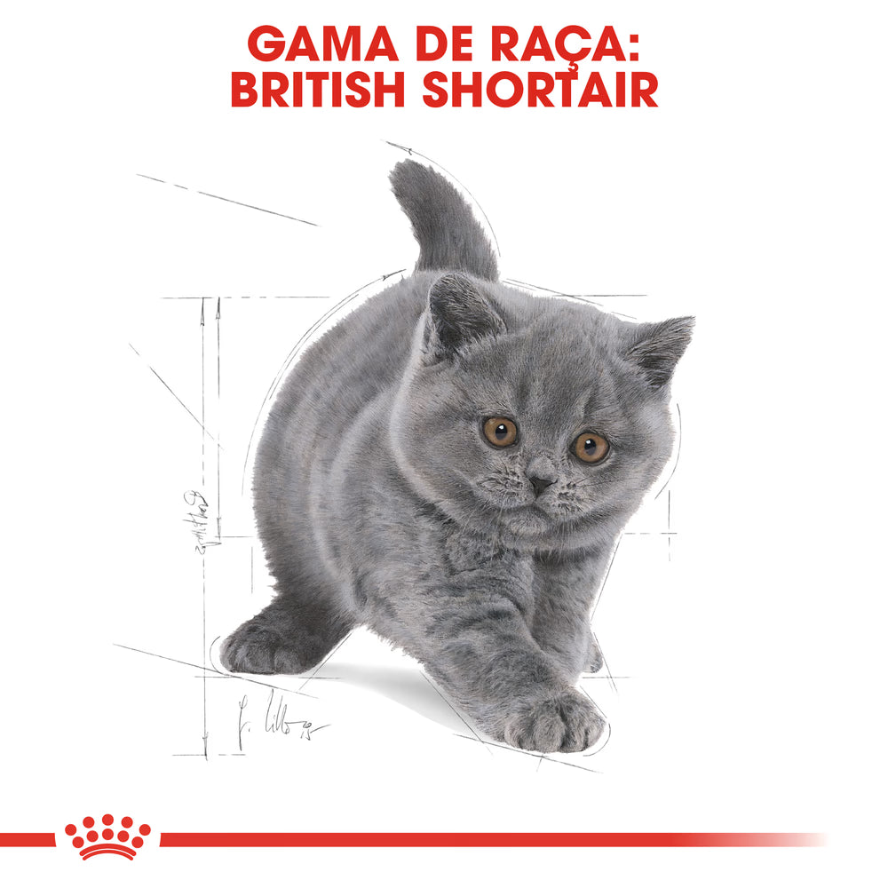 Royal Canin Kitten British Shorthair Cat Poultry - Dry cat food