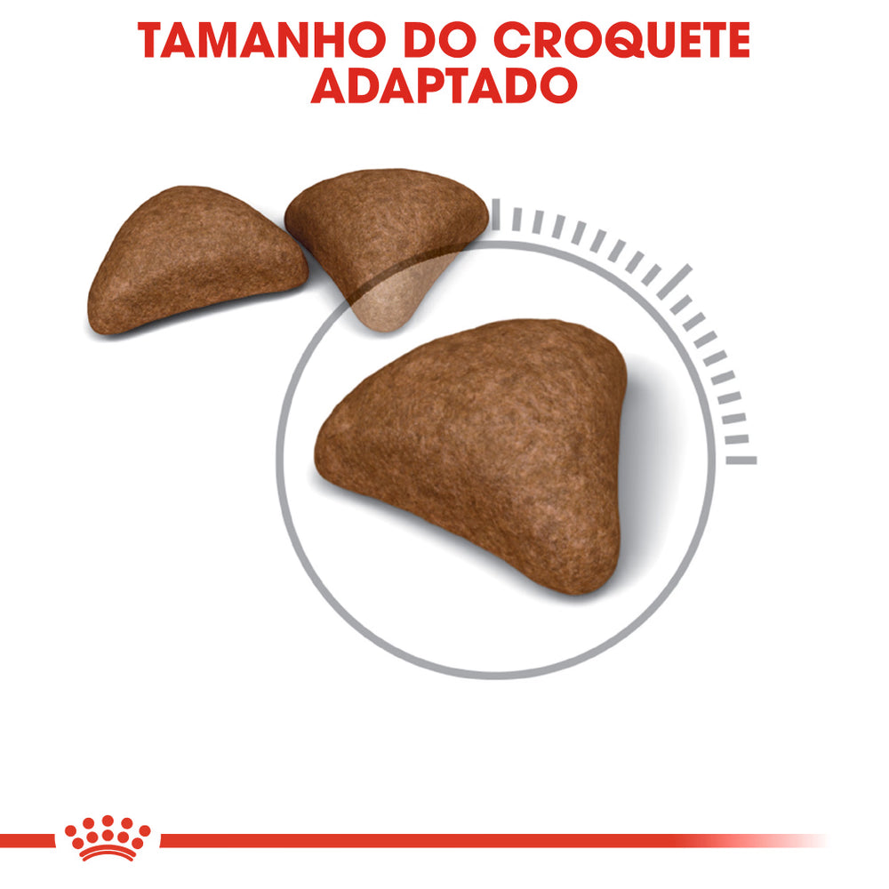 Royal Canin Hairball Care Gato Aves - Pienso seco para gato para el control de bolas de pelo