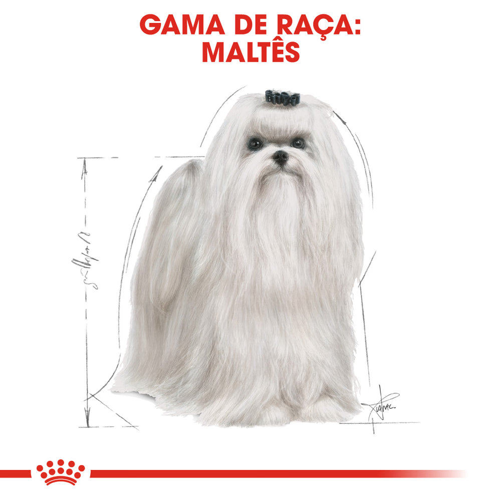 Royal Canin Maltese Adult Dog Poultry - Dry food for dogs