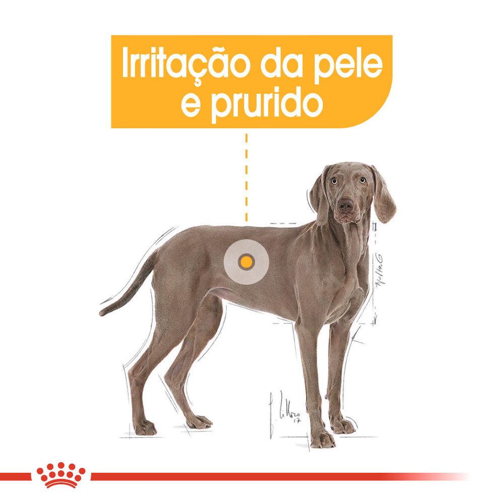 Royal Canin Maxi Dermacomfort Perro - Pienso seco para perro con piel sensible