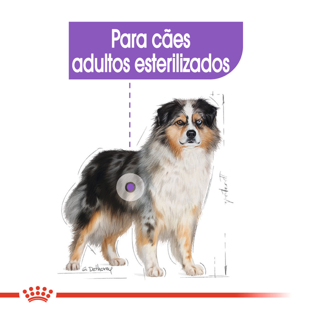 Royal Canin Medium Sterilised Dog Poultry - Dry food for sterilised dogs