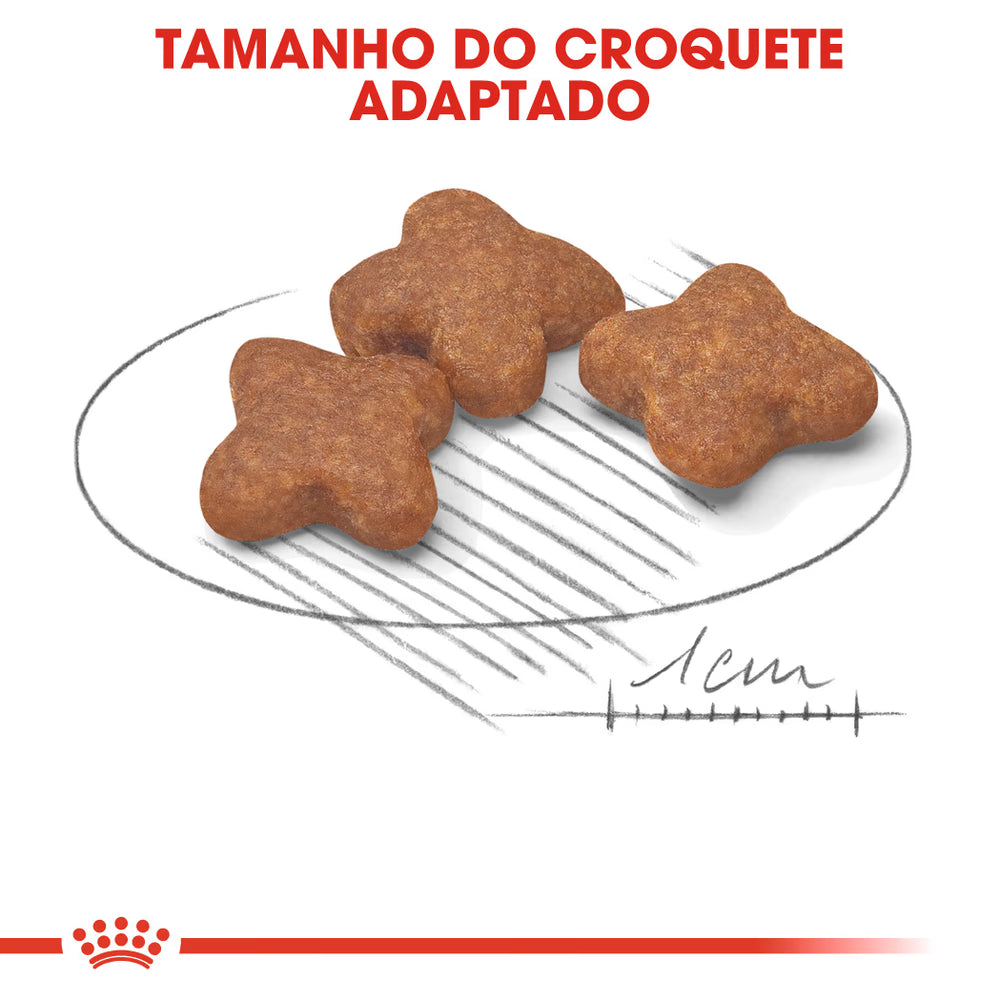 Royal Canin Mini Adulto 8+ Perro Aves - Pienso seco para perro
