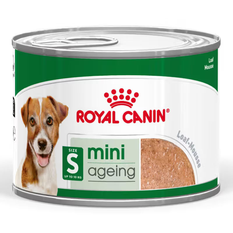 Royal Canin Mini Ageing 8+ Cão Sénior - Ração húmida para cão