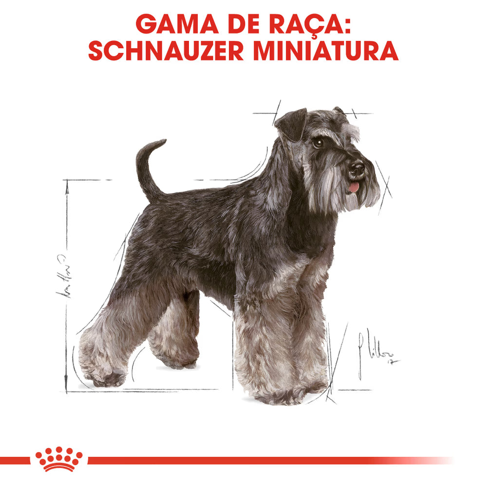 Royal Canin Miniature Schnauzer Adulto Perro Aves - Pienso seco para perro